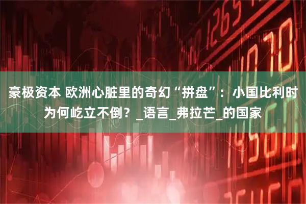 豪极资本 欧洲心脏里的奇幻“拼盘”：小国比利时为何屹立不倒？_语言_弗拉芒_的国家