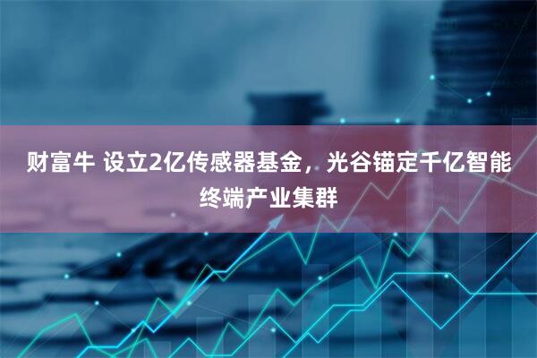 财富牛 设立2亿传感器基金，光谷锚定千亿智能终端产业集群